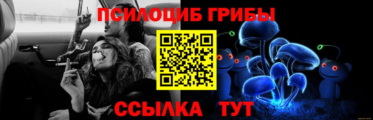 Сарапул  закладки  Псилоцибиновые грибы мицелий  Вход с VPN  Псилоцибиновые грибы мицелий 